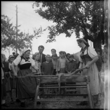 Breaking flax in Zaeziwil, 1956