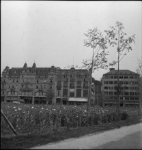 Filed of opium poppy in the city center; 1941