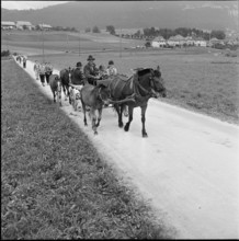 On the way to the horse market of Chaindon-Reconvilier, 1952