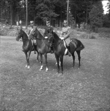 Olympic Games Helsinki 1952: Team competition; the Swedes are champions