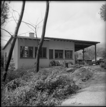 New fish smoking plant in Neuchâtel 1958