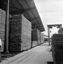 Timberyard, 1959