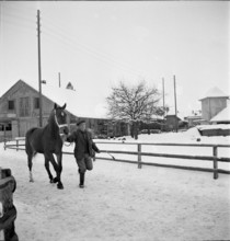9th Burgdorf inland horse market, 1944