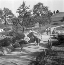 Volunteer pre-instruction; coaching provided in the canton of Zurich; 1943