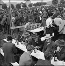 Horse market of Chaindon-Reconvilier, 1952