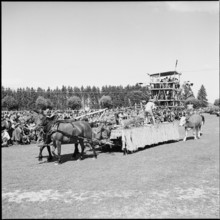 49th Marché Concours Saignelégier, 1952
