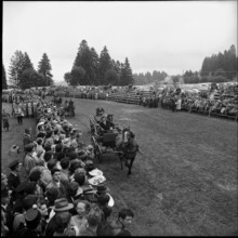 52nd Marché-Concours Saignelégier, one-horse-carriage race, 1955