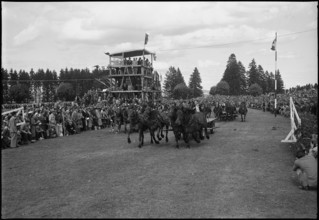 49th Marché-Concours Saignelégier, four-in-hand chariot race, 1952