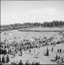 49th Marché Concours Saignelégier, 1952