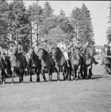60th Marché Concours Saignelégier, 1963