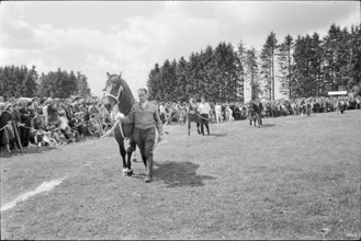 61st Marché Concours Saignelégier, 1964