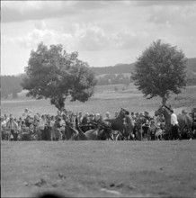 61st Marché-Concours Saignelégier, fallen horse, 1964
