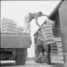 WW2: farming camp; unloading empty crates, 1943.