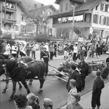 Fir tree transport in Hilterfingen, around 1950