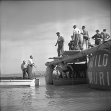 After WW2: Recovery of a US bomber, Zug 1952