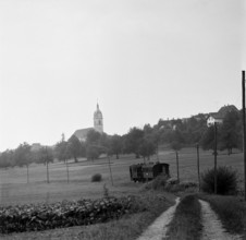 Steam train near Sursee 1959