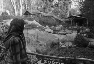 Visitor to the Glacier Garden in Lucerne, 1972