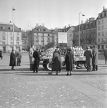 Vegetable campaign: People shopping for vegetables, 1958