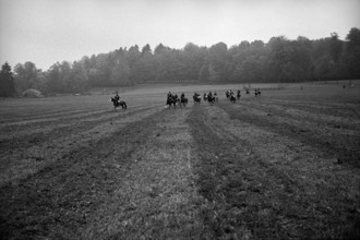 Agriculture