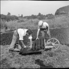 Internees from Alsace; Alsatians cutting peat, peat briquettes; 1940