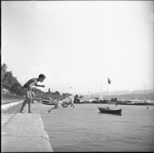Dog jumps into Lake Zurich, 1947