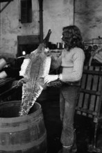 Last tannery in Romandy: young man works on crocodile skin in 1973