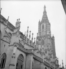 Münster, Bern, 1942