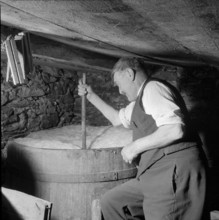 Heidenwein: Alex Studer in the hamlet of Oberstalden, 1956