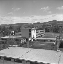 Cantonal School Wetzikon 1957