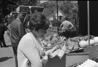 Woman examining vegetables, 1968