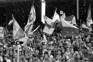Cup Final 1975: FC Basel  FC Winterthur; Winterthur spectators