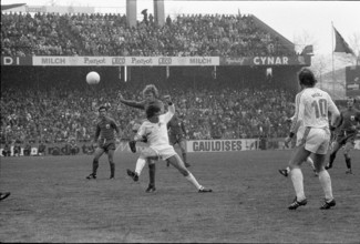 Cup final 1975: FC Basel  FC Winterthur