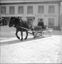 Coachman, La Brévine 1951