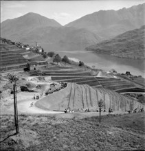 Vico Morcote, 1942