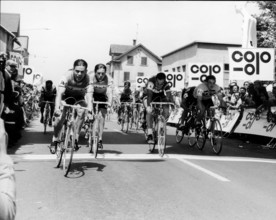 Willy de Geest