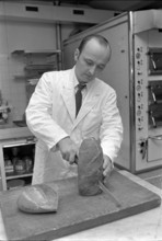 Bern, expert checks the quality of a loaf of bread; 1970