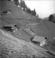 Frutigen; farmhouses on the hillside; 1946