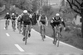 Zurich Championship 1975