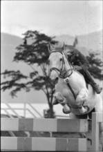 CSIO Lucerne 1974: Captain Paul Weier on Wulf