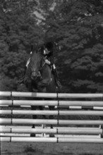 CSIO Lucerne 1974: Janou Tissot on Rocket