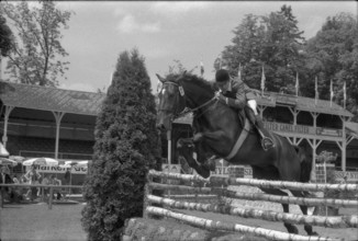 CSIO Lucerne 1974: Tino Magalow on Weiko