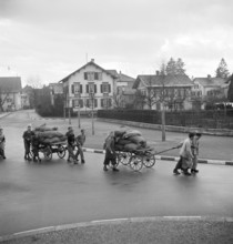 Boys collecting pine cones for heating, 1944