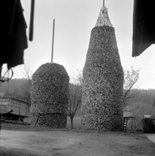 Wooden tristen in Bowil, Emmental, 1972