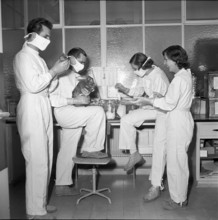 Development team around Dr. Fust (back) at Roche, Basel 1952