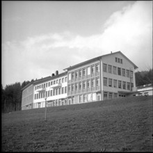 Swiss Serum and Vaccine Institute, Grafenried 1956