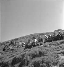 Farmers resting after the cattle drive, Valais 1942