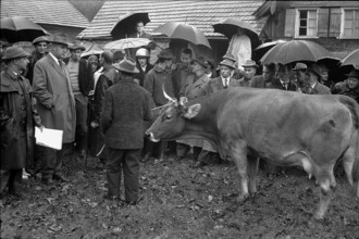 Kirchberg, Gant on a farm, 1965