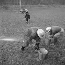 Birmensdorf, search for oil; 1958