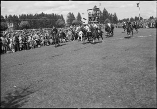 49th Marché Concours Saignelégier, 1952