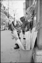 Flower seller, 1966